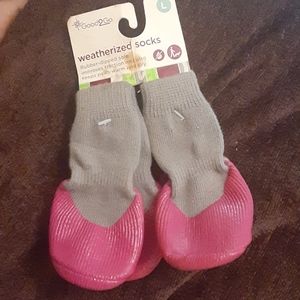 Puppy, weathered socks